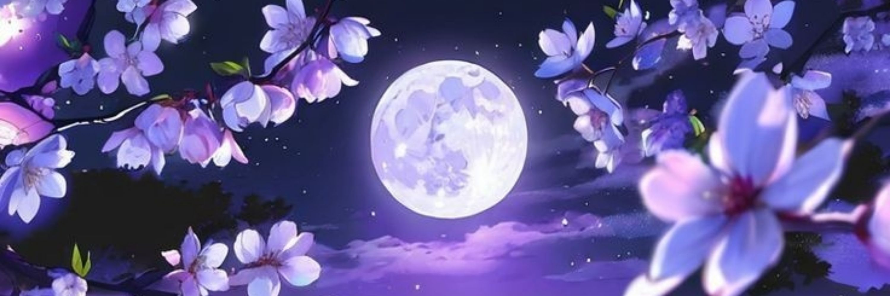 小夜仙子🧚🏻‍♀️