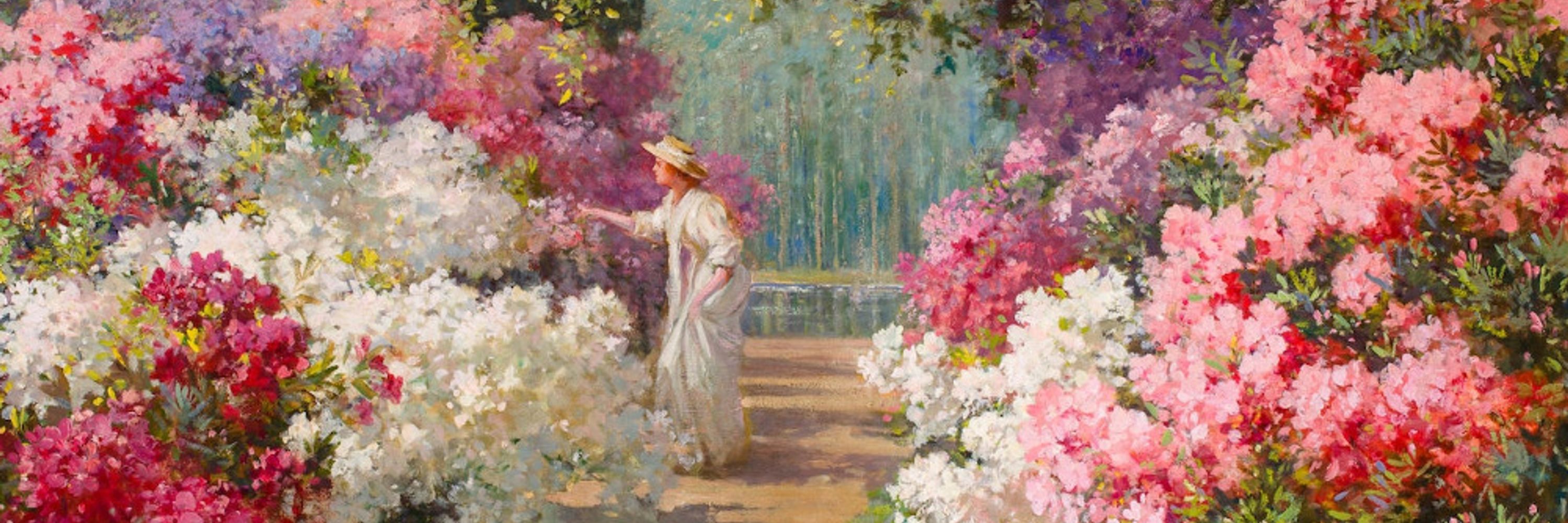 ♛~🩷🌸Elora Rowan🦋🌷🩷