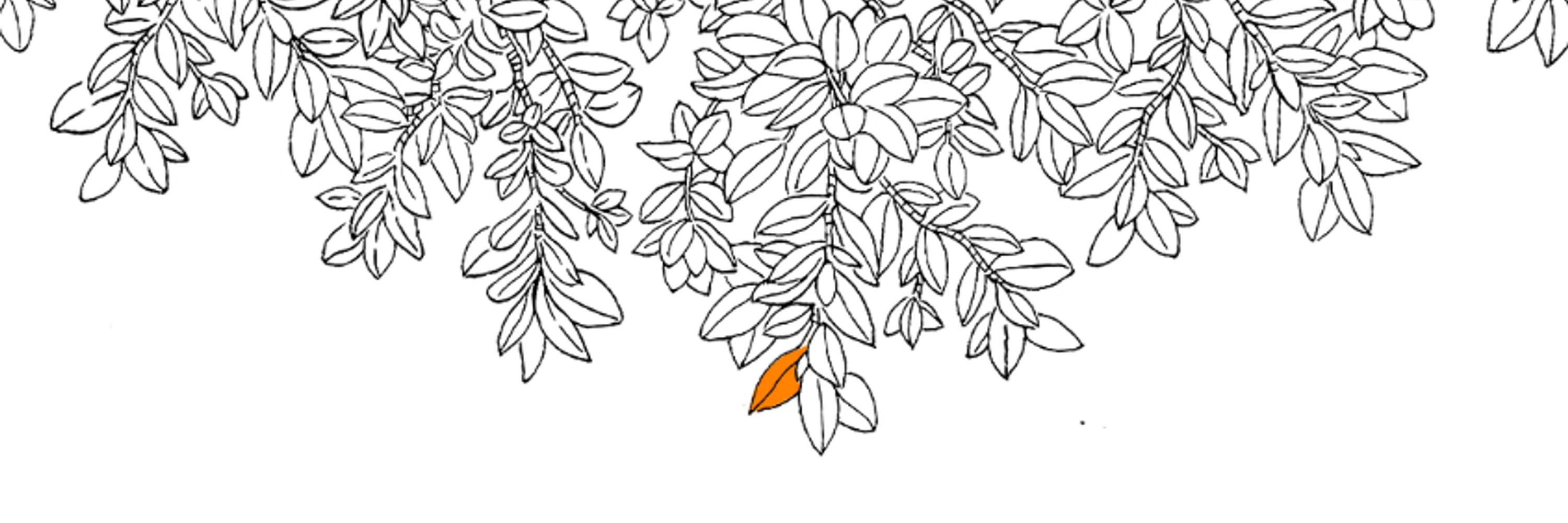 Blume | Freelancers for Charities