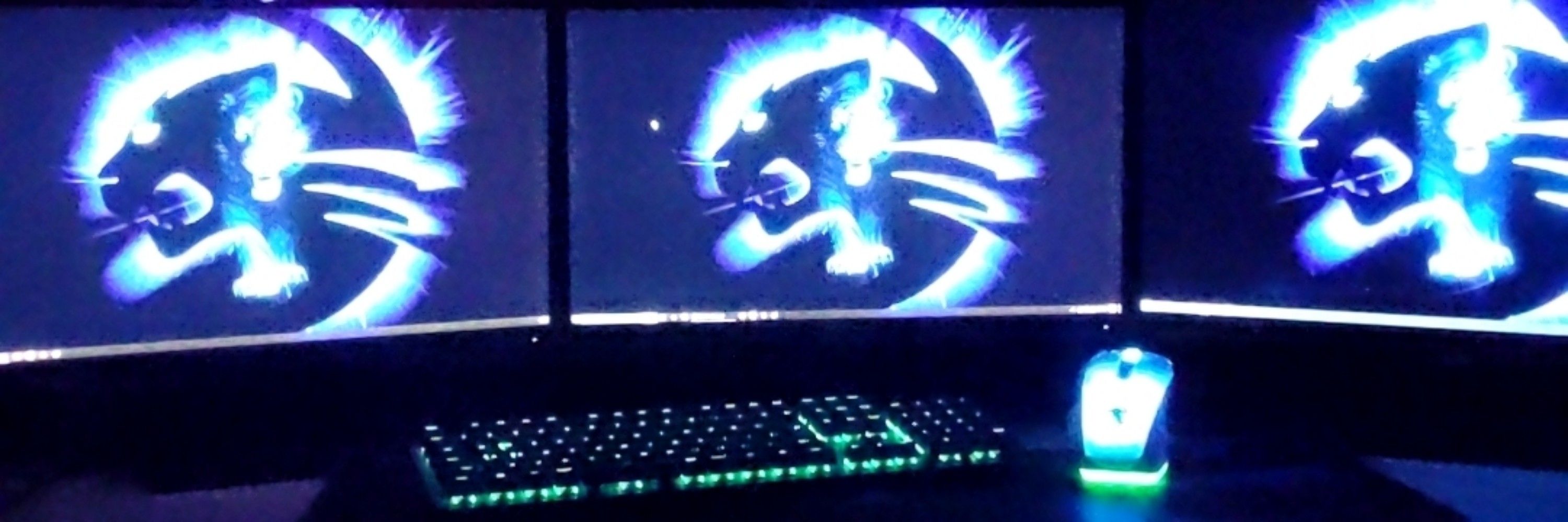 Jackal ASN