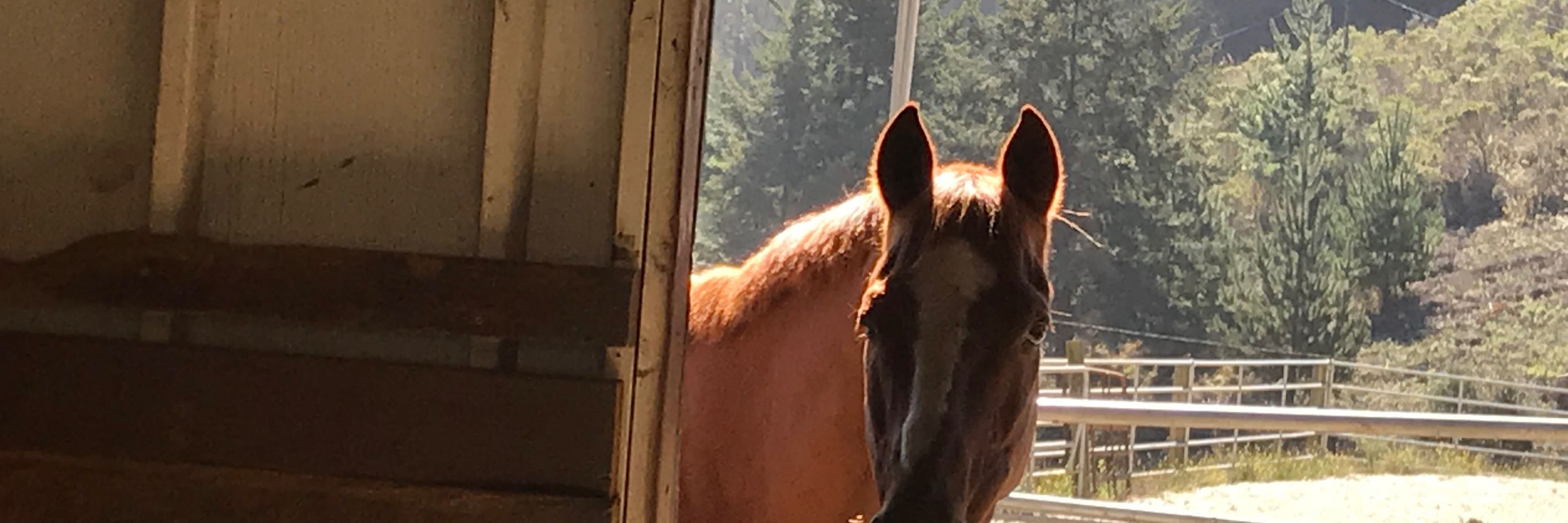 Take the Reins