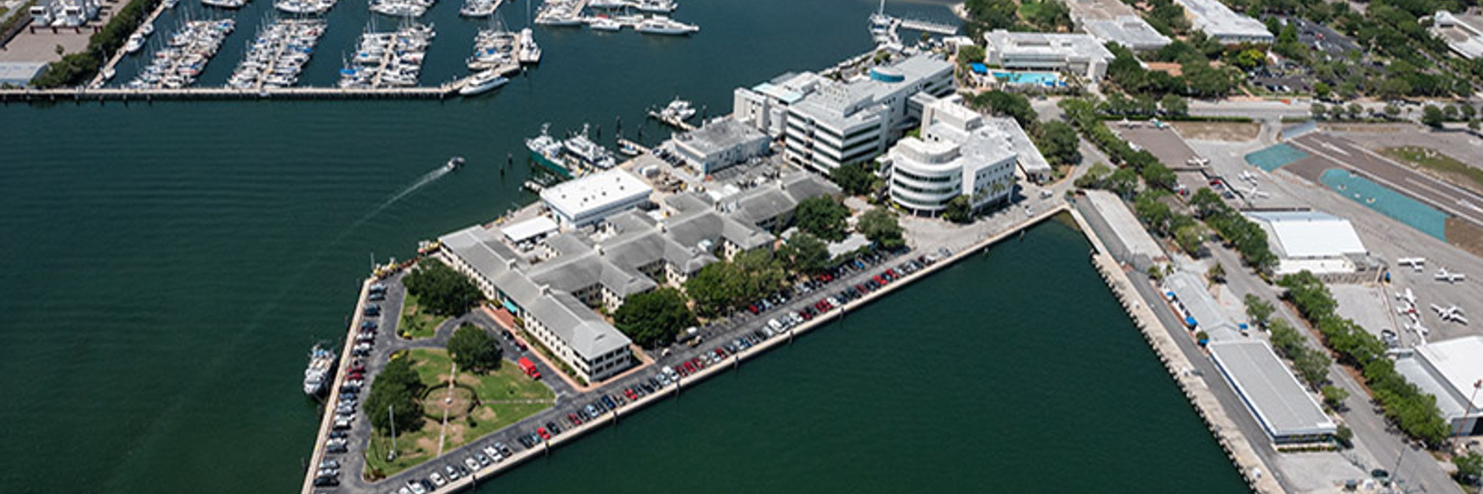 USF College of Marine Science