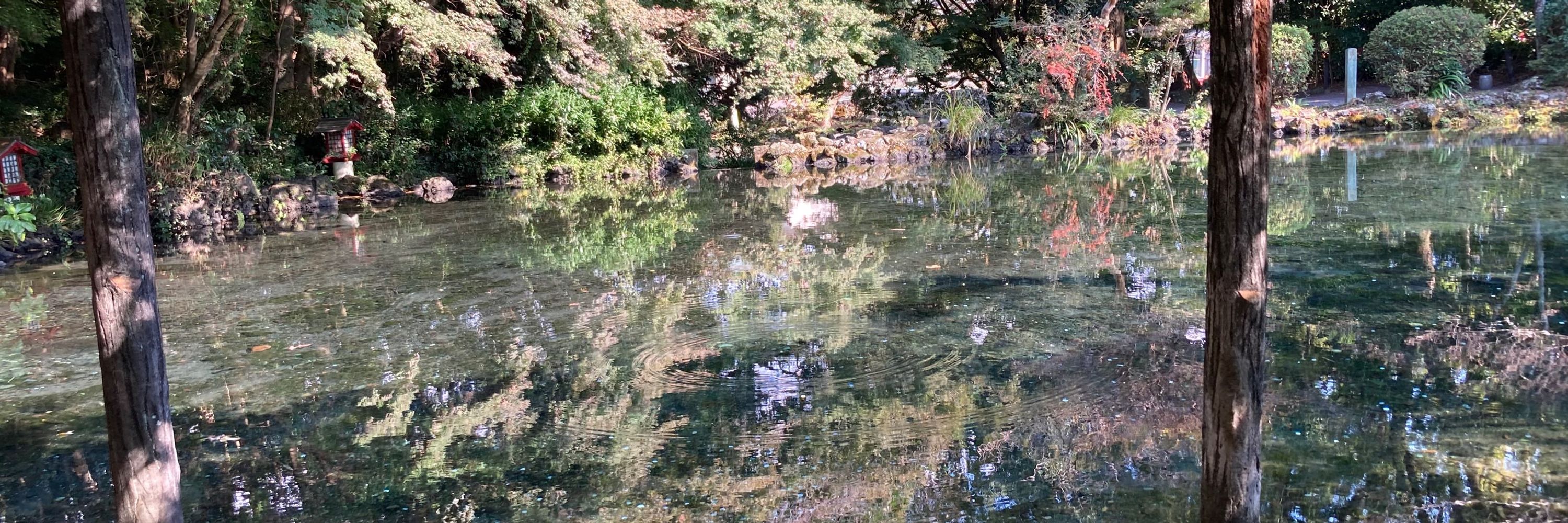 海音葉月