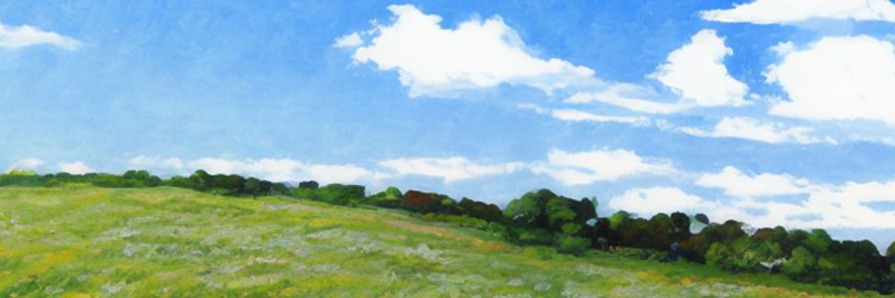 Thomas Biasci