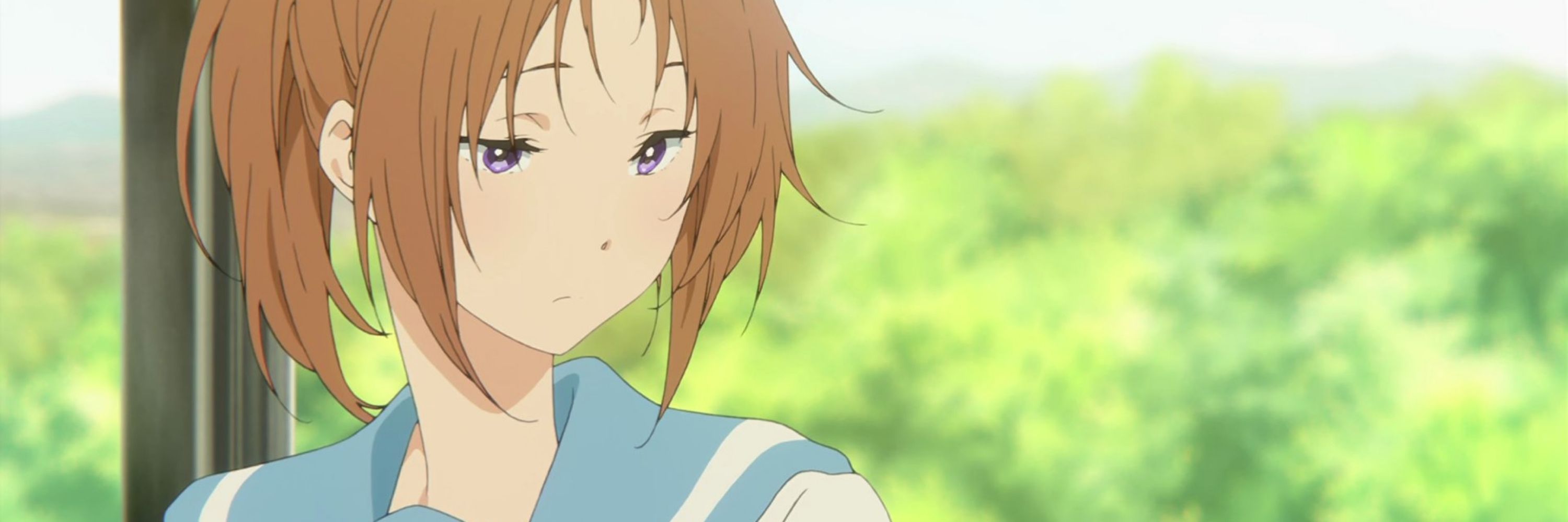 にふだう