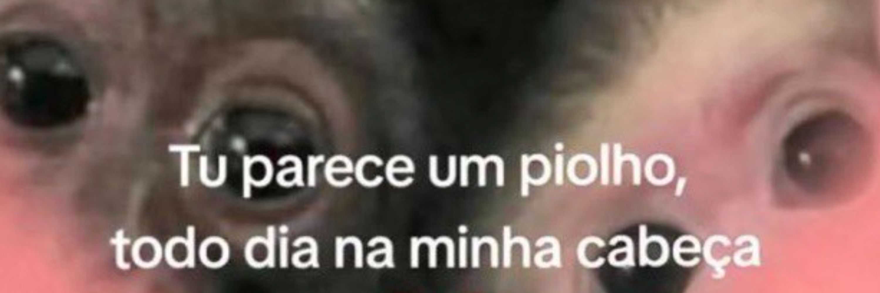 cami