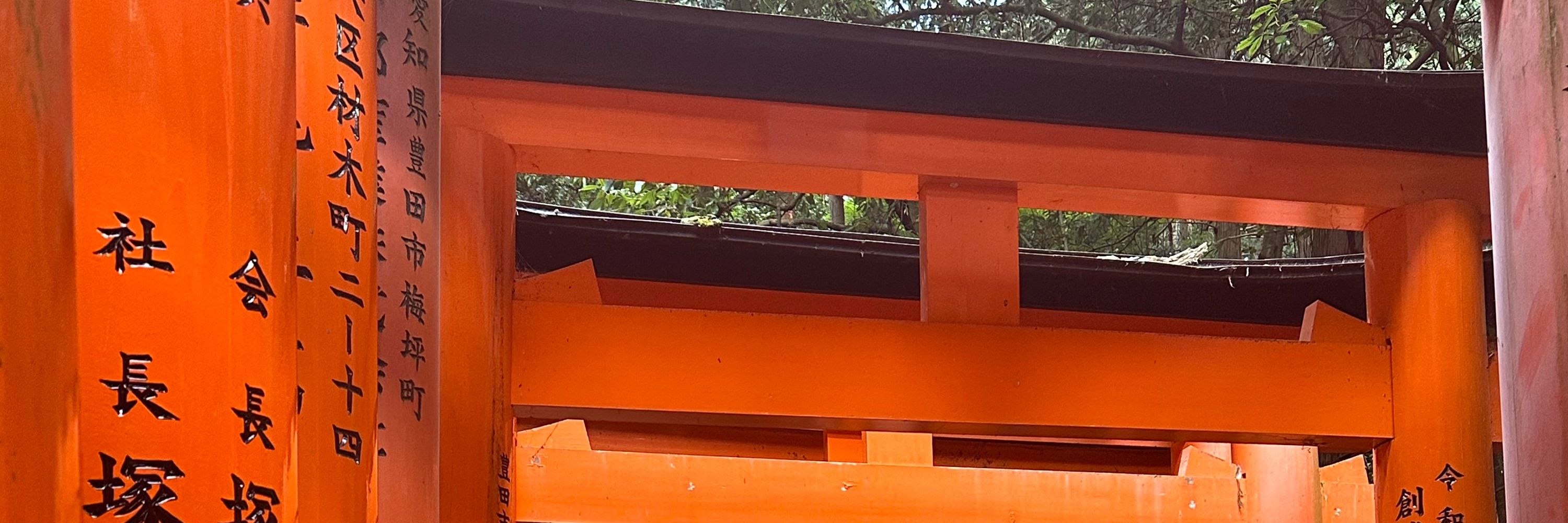 CRC (aquela garota lá)