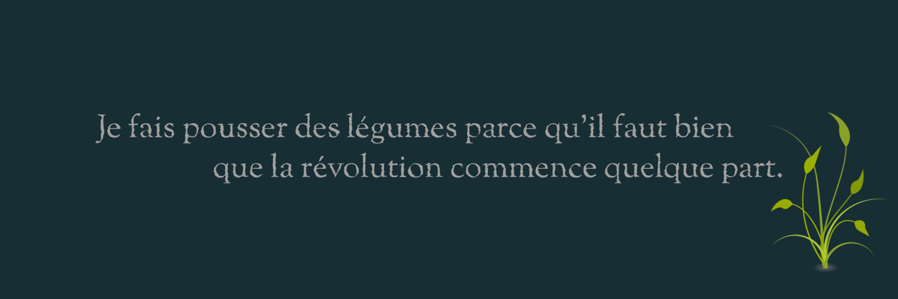 Michel Patrice