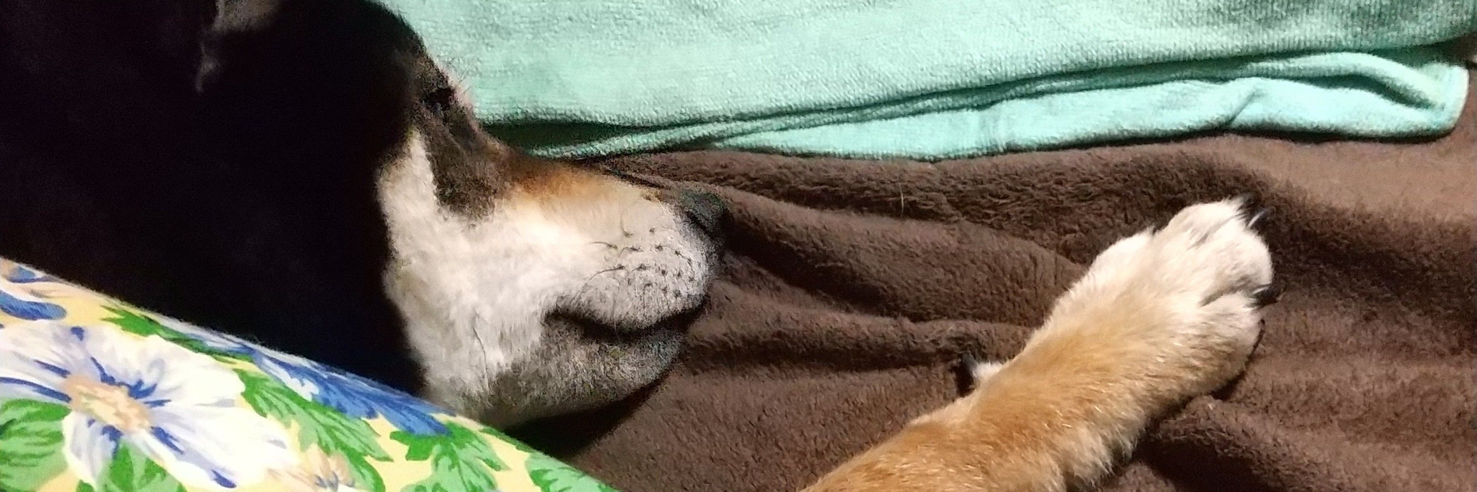 ふちっこ