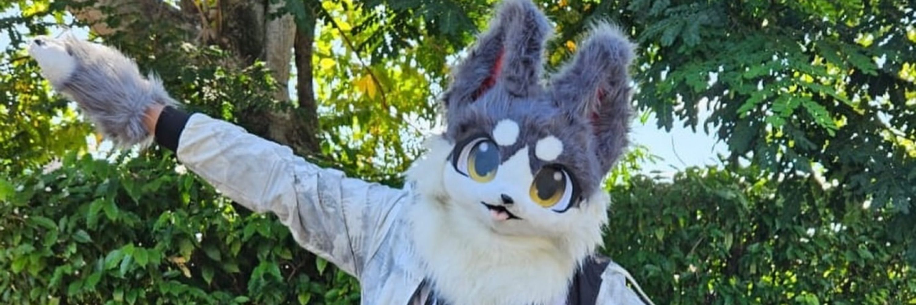Bruno The Fox 🔜 FURUM 25’ , BAH 26’