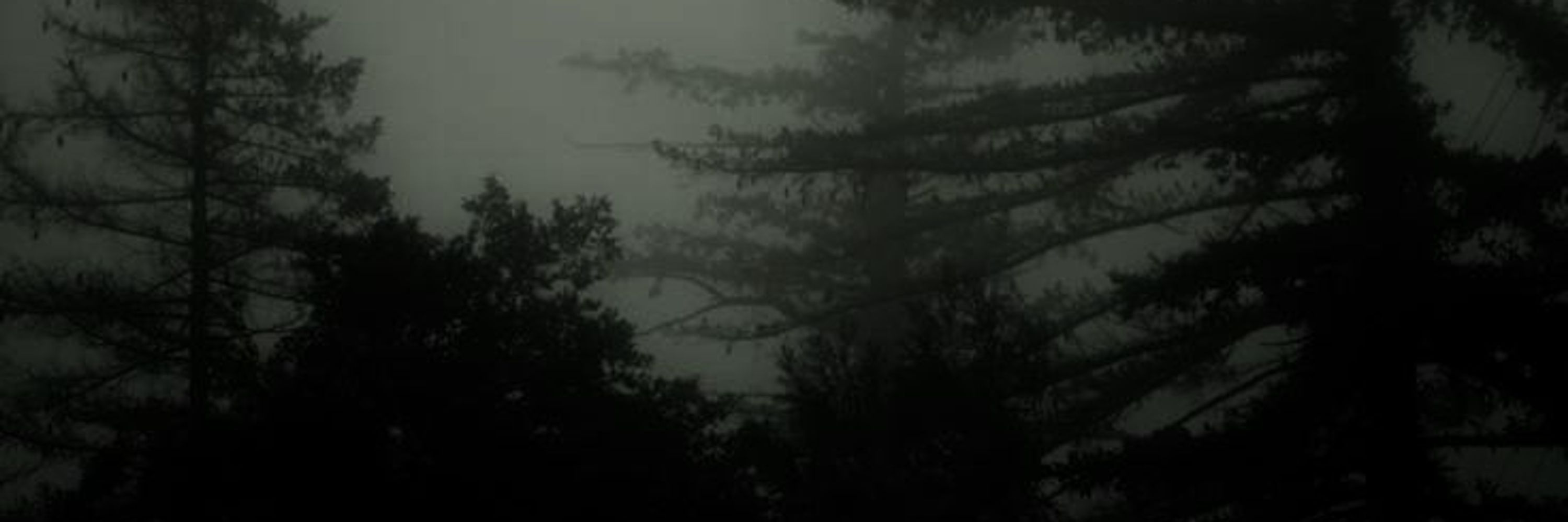 bl0odybitez artwork