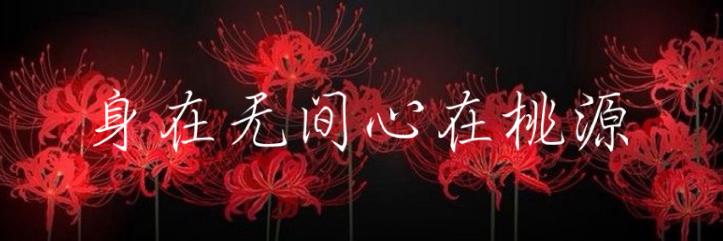 春月 ✨