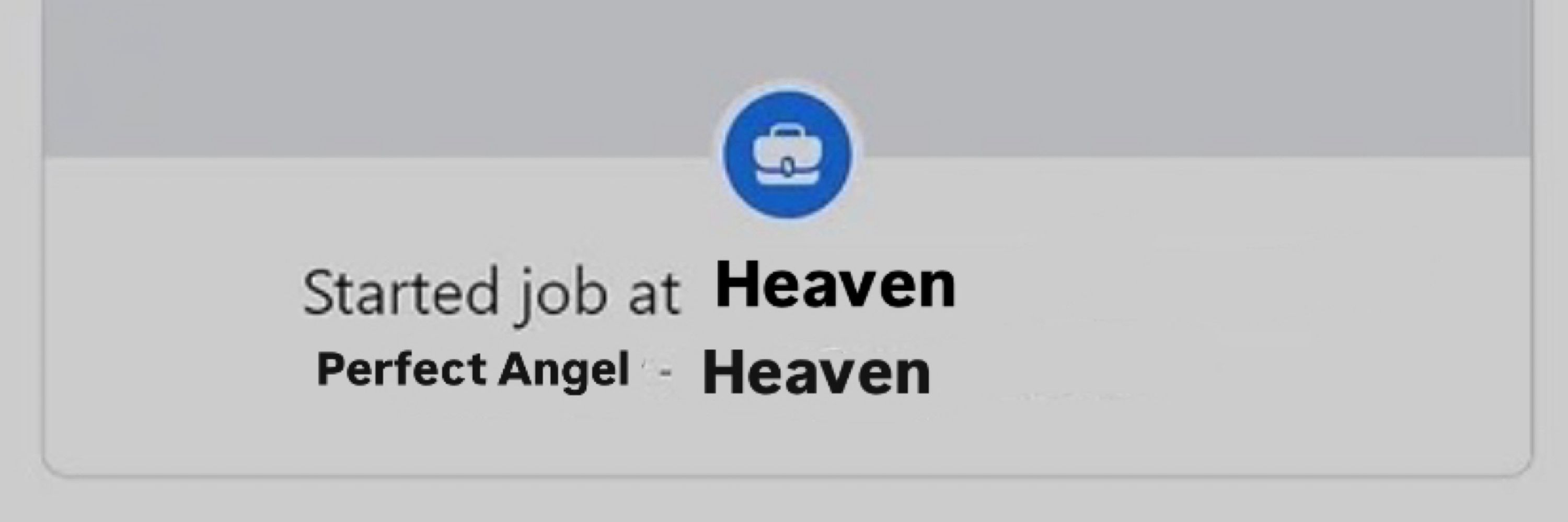 perfect angel updates