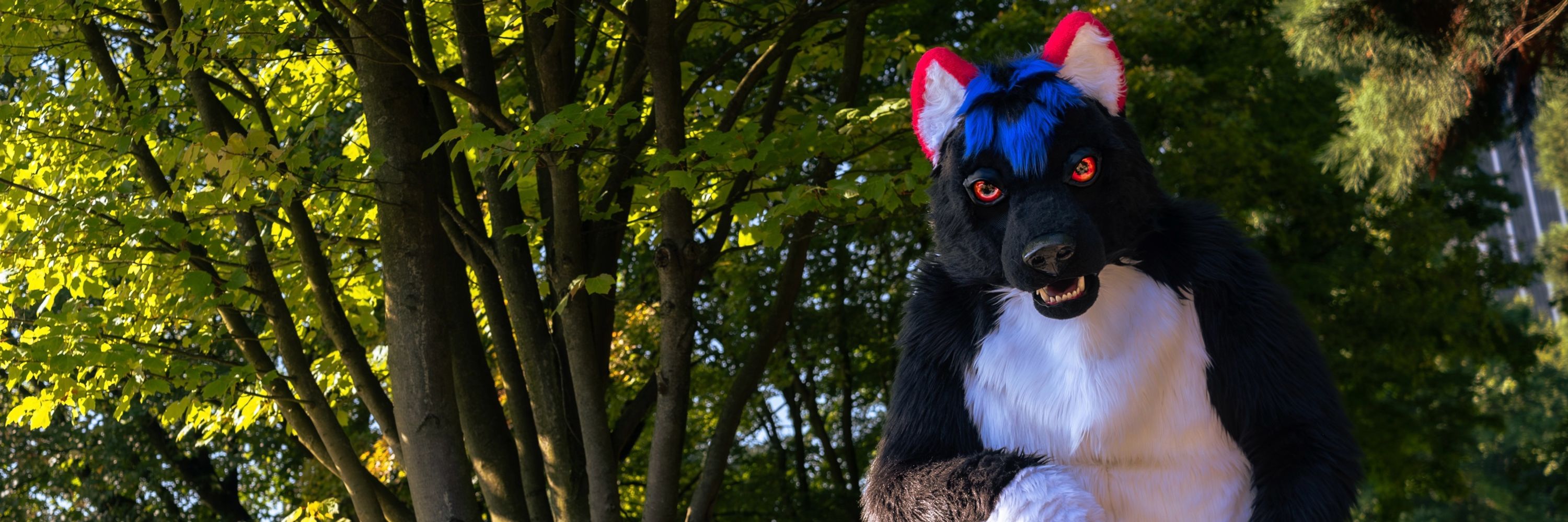 RyuxWolf