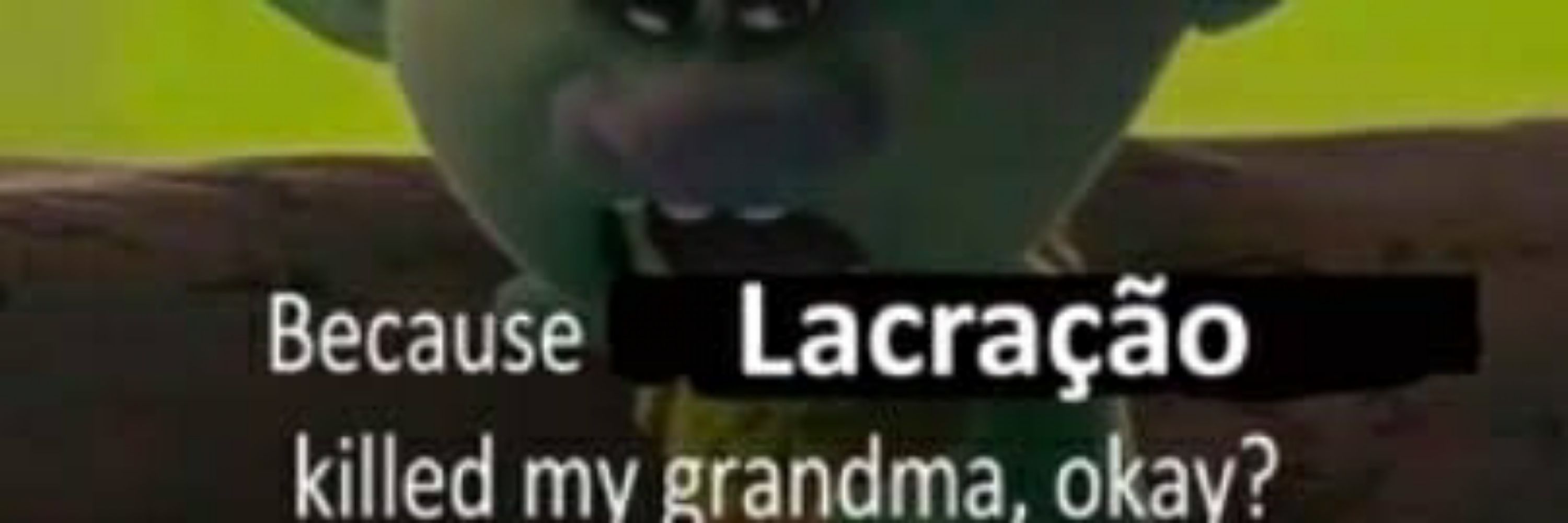 lansamicio