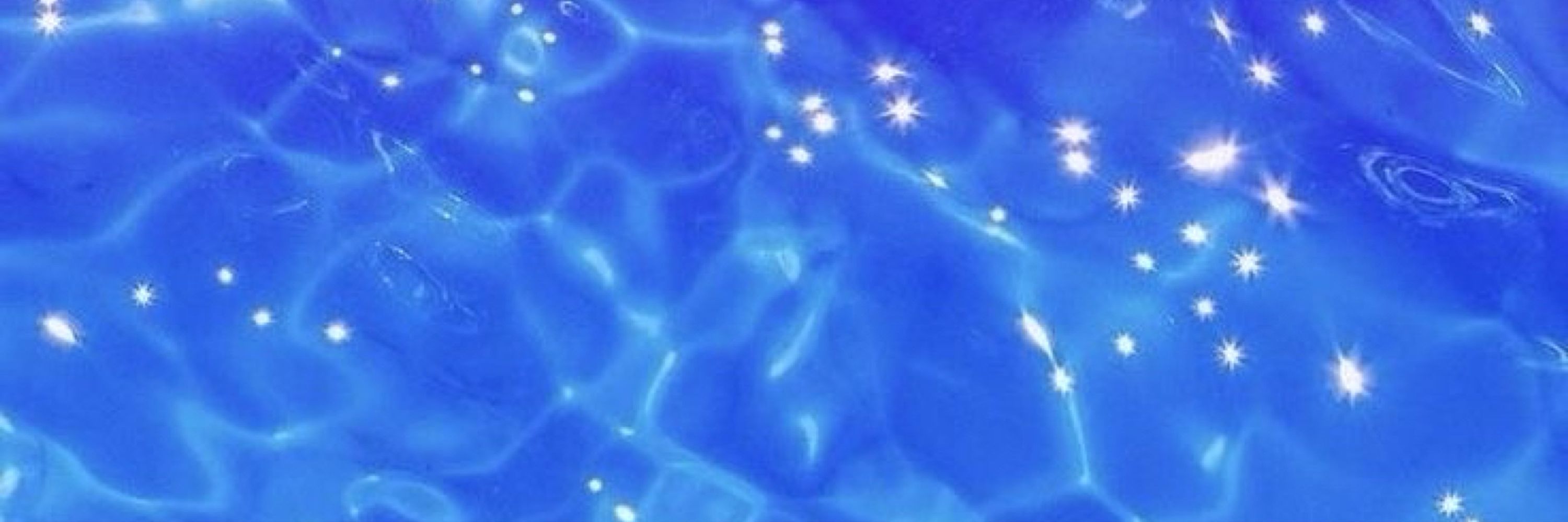 𓃦