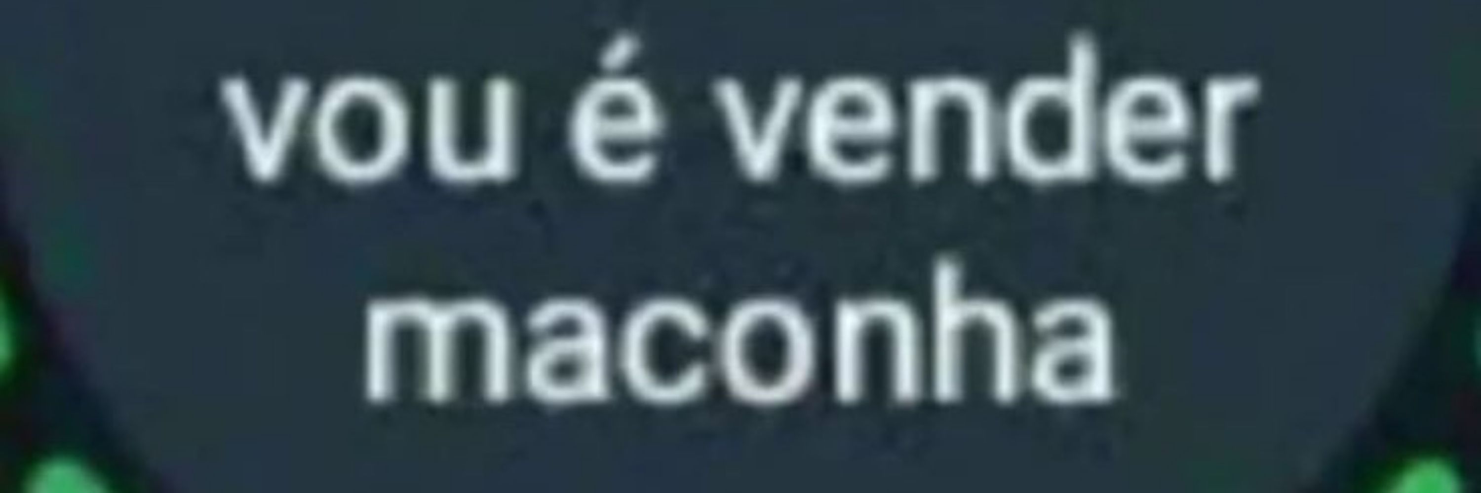 Sasa 