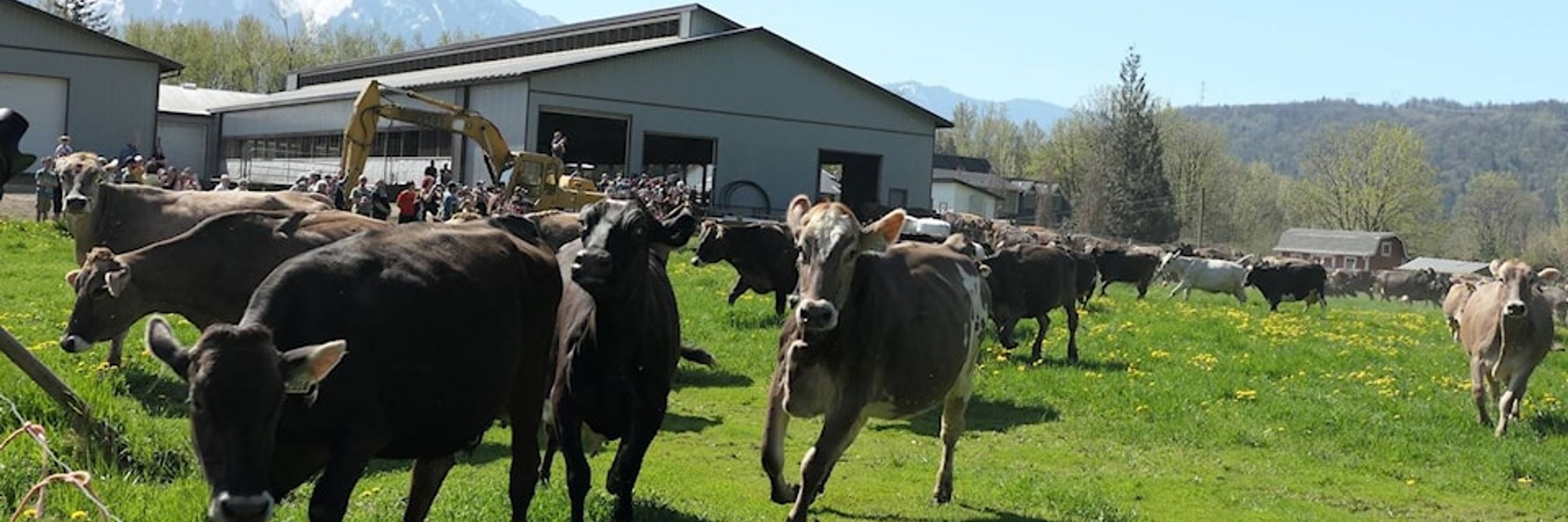 Agassiz-Harrison Observer