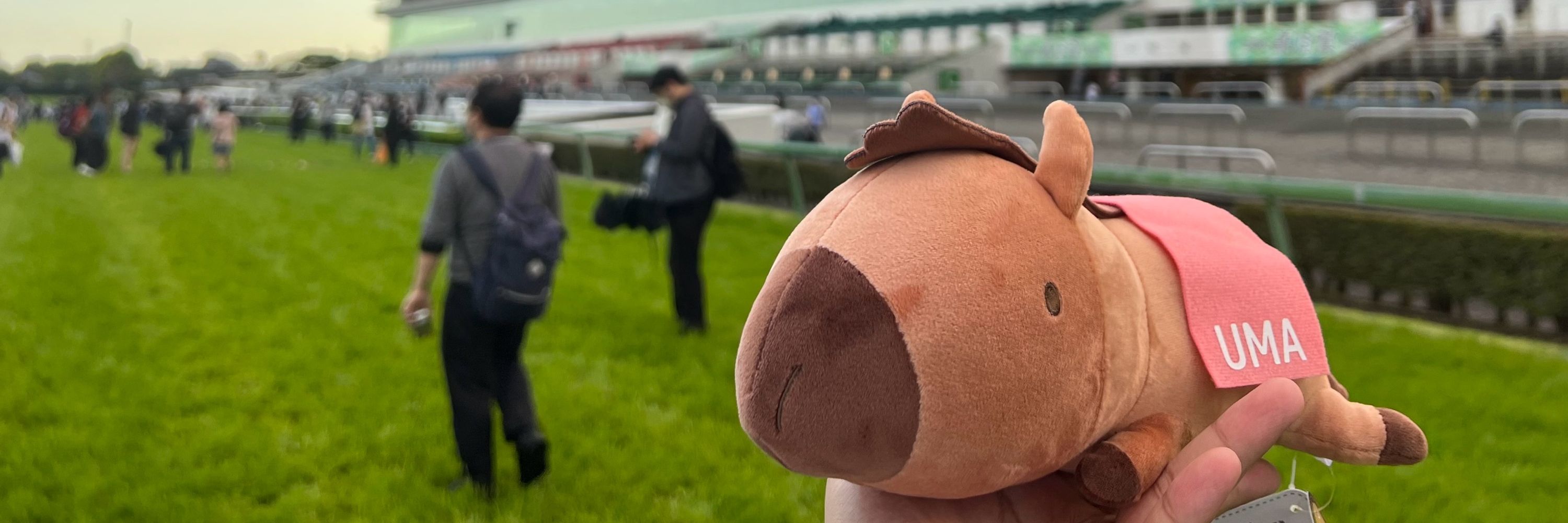 うしゅーの狐