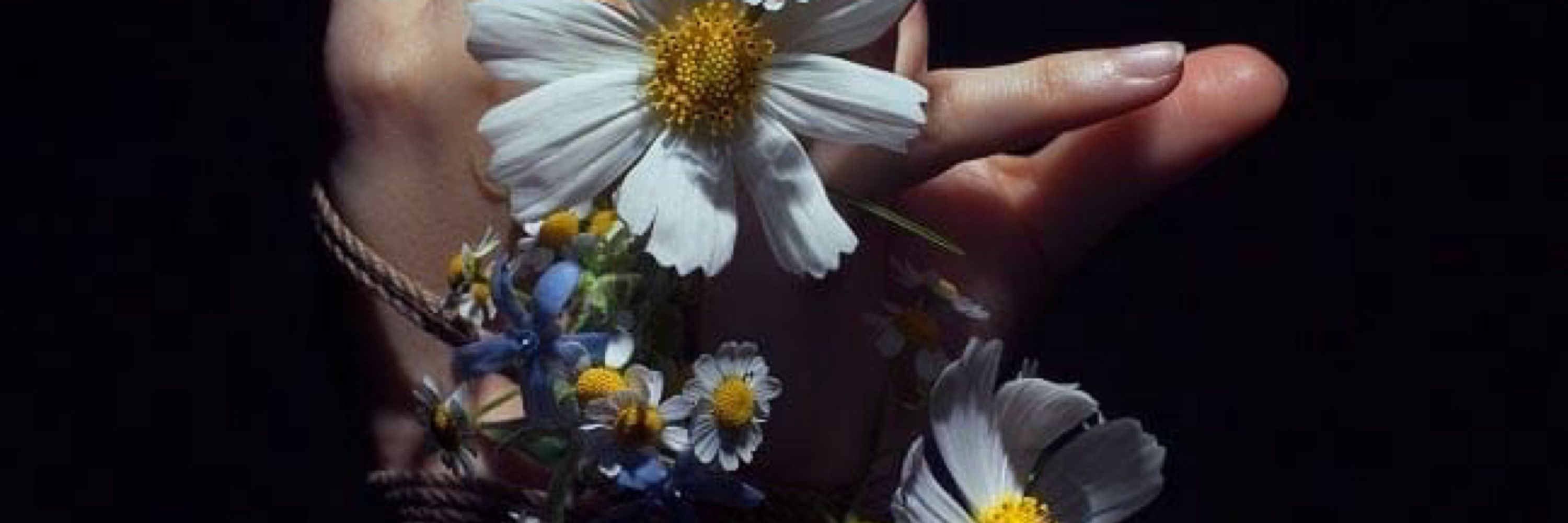 🪻🌻Elibelle🌻🪻