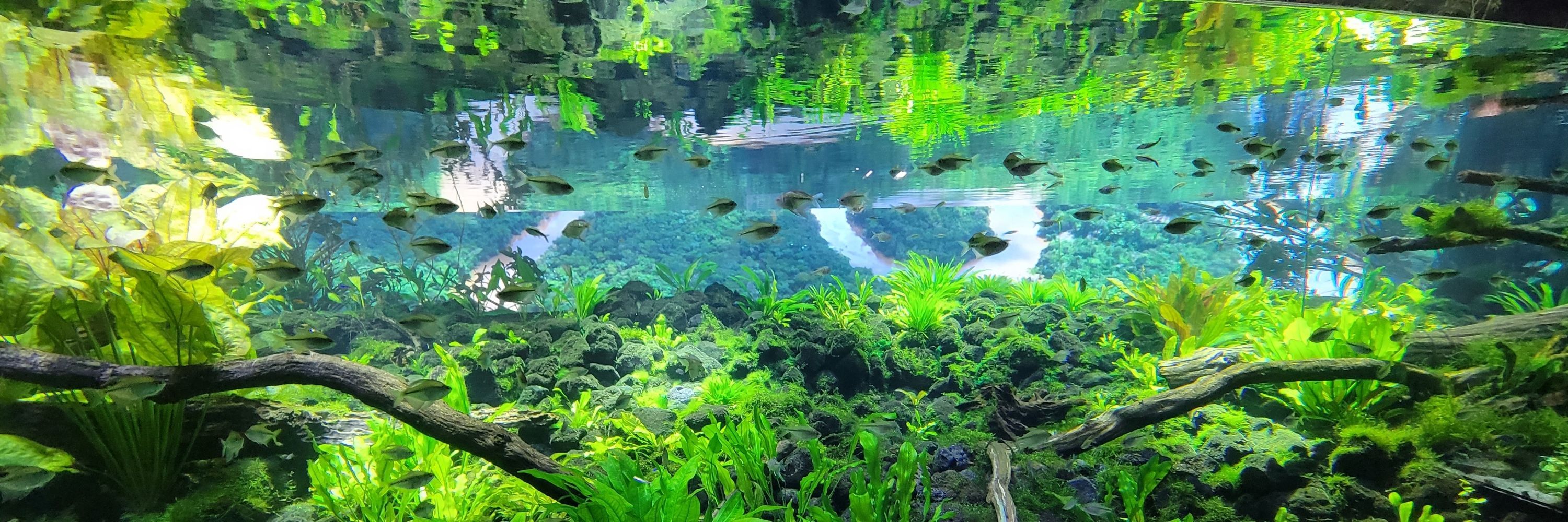 那月