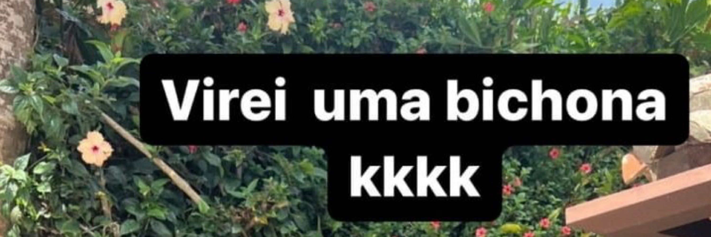 Santinhos