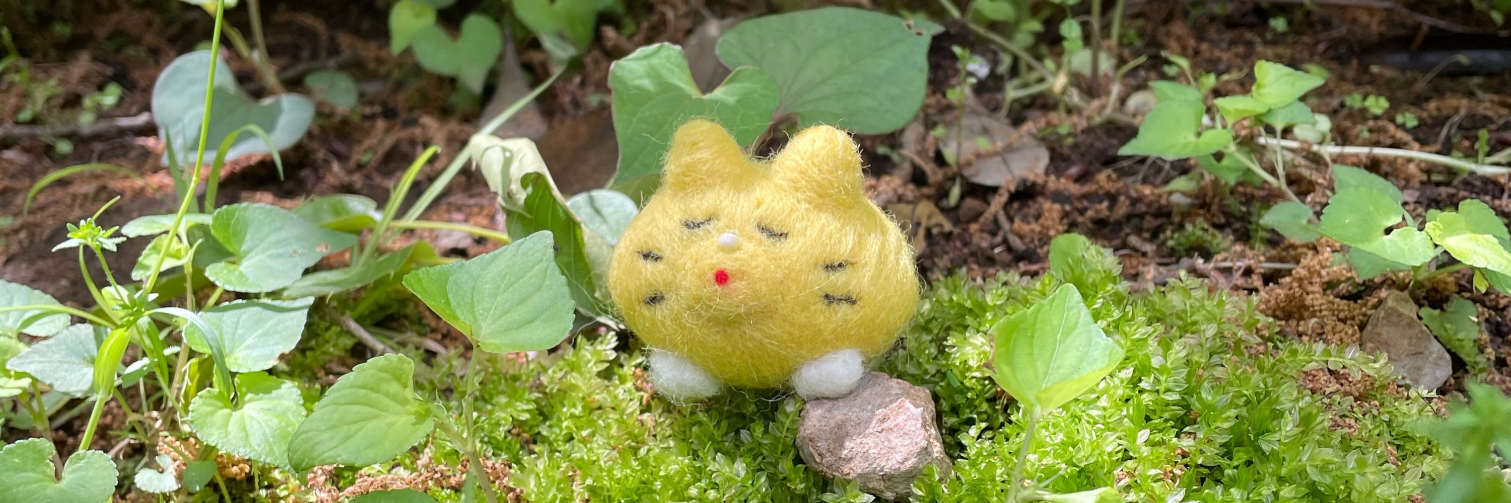 レモンねこ