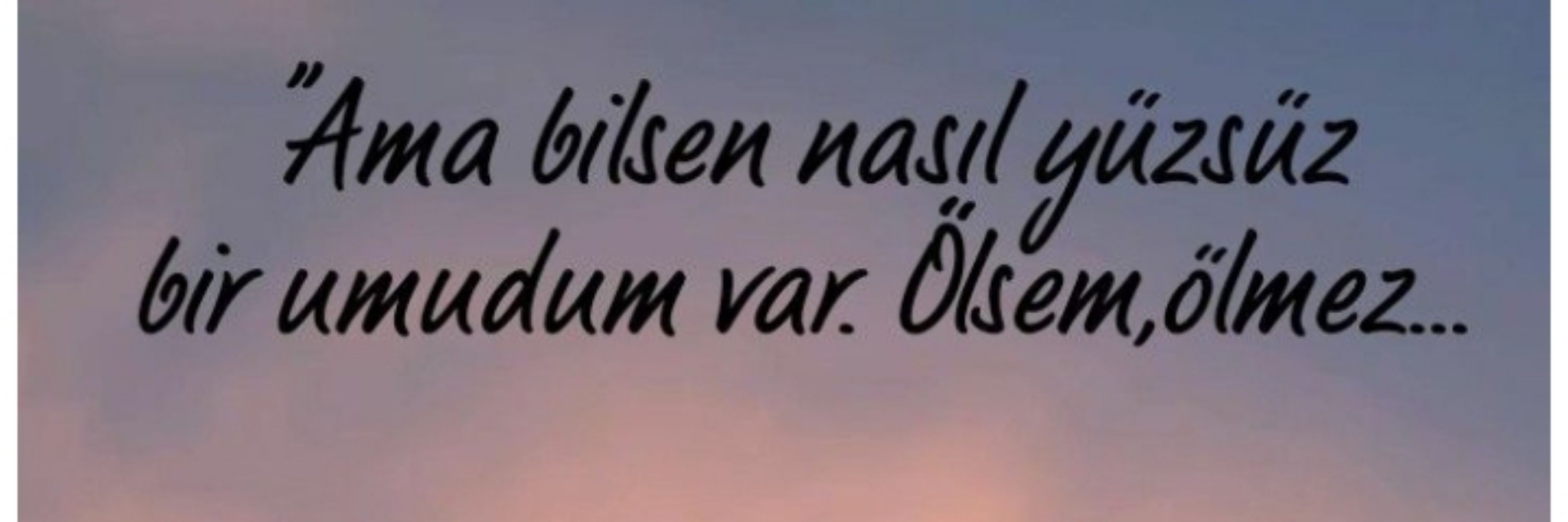 sırça 🦋