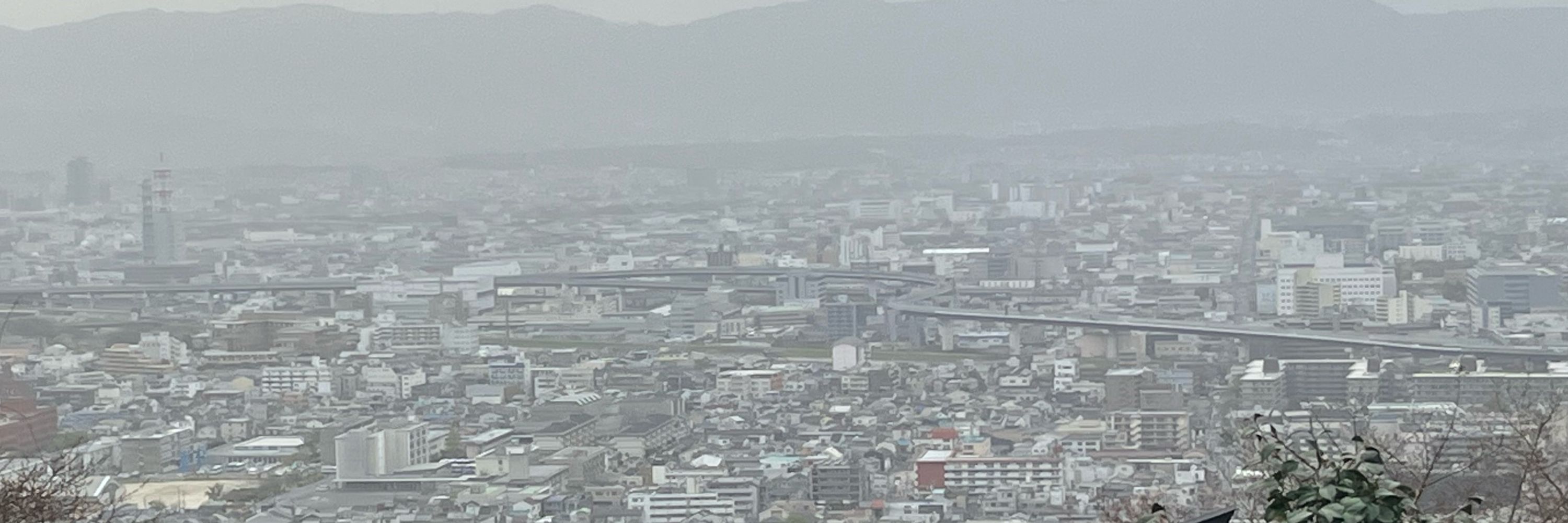 お狐
