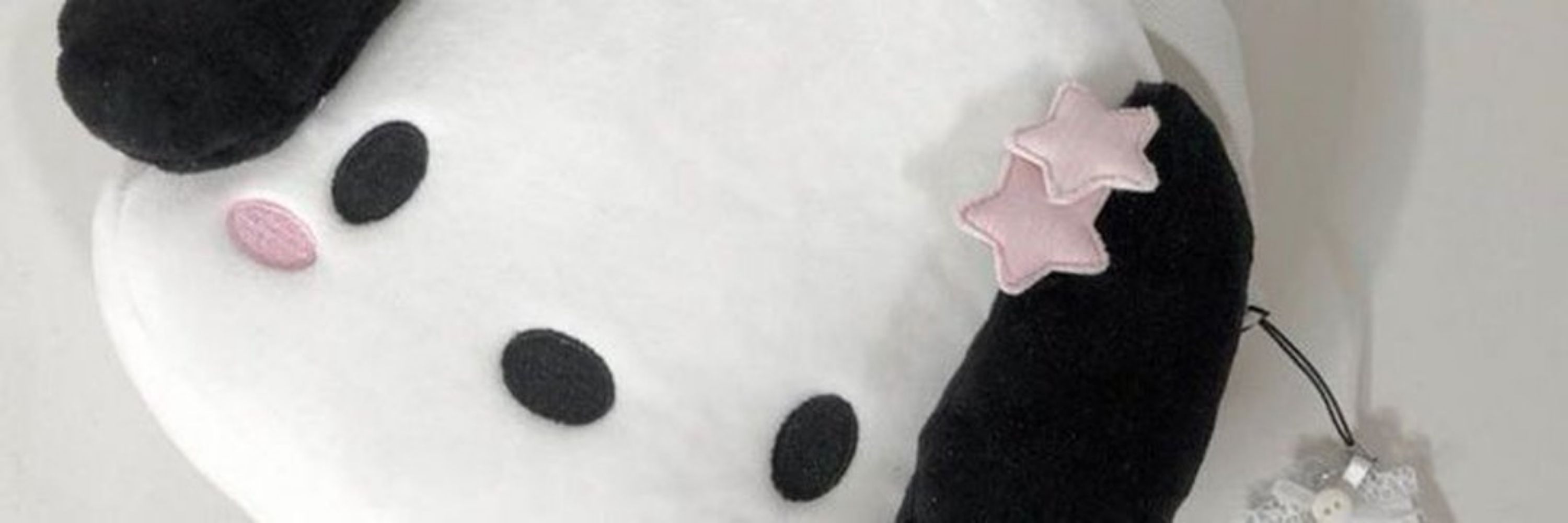 Shcooky