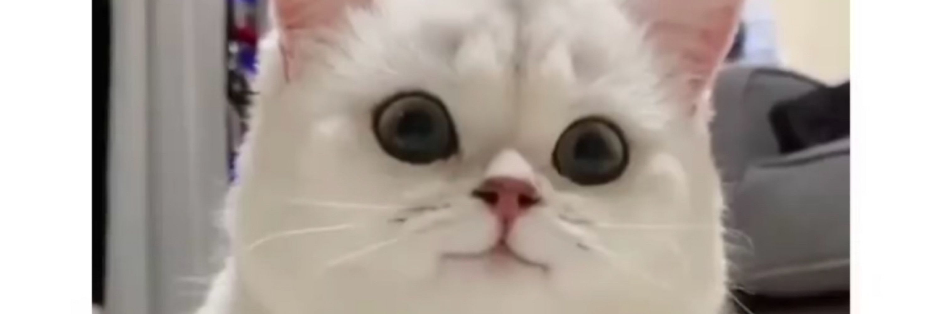 시훈