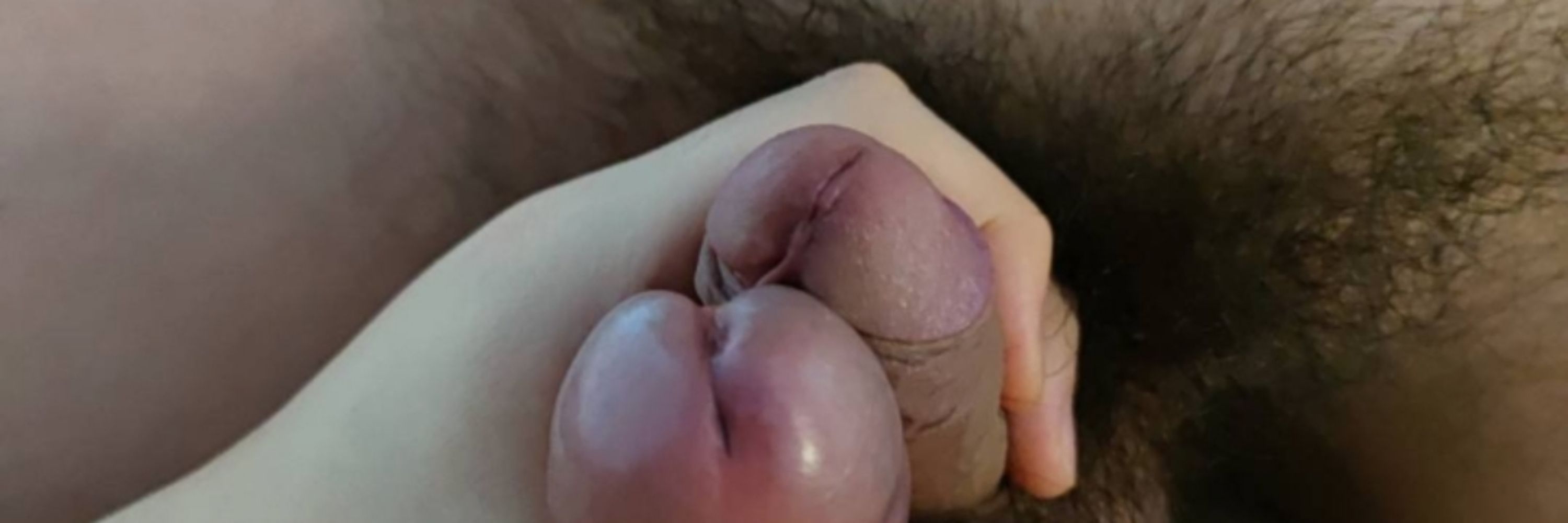 北京夫夫绿
