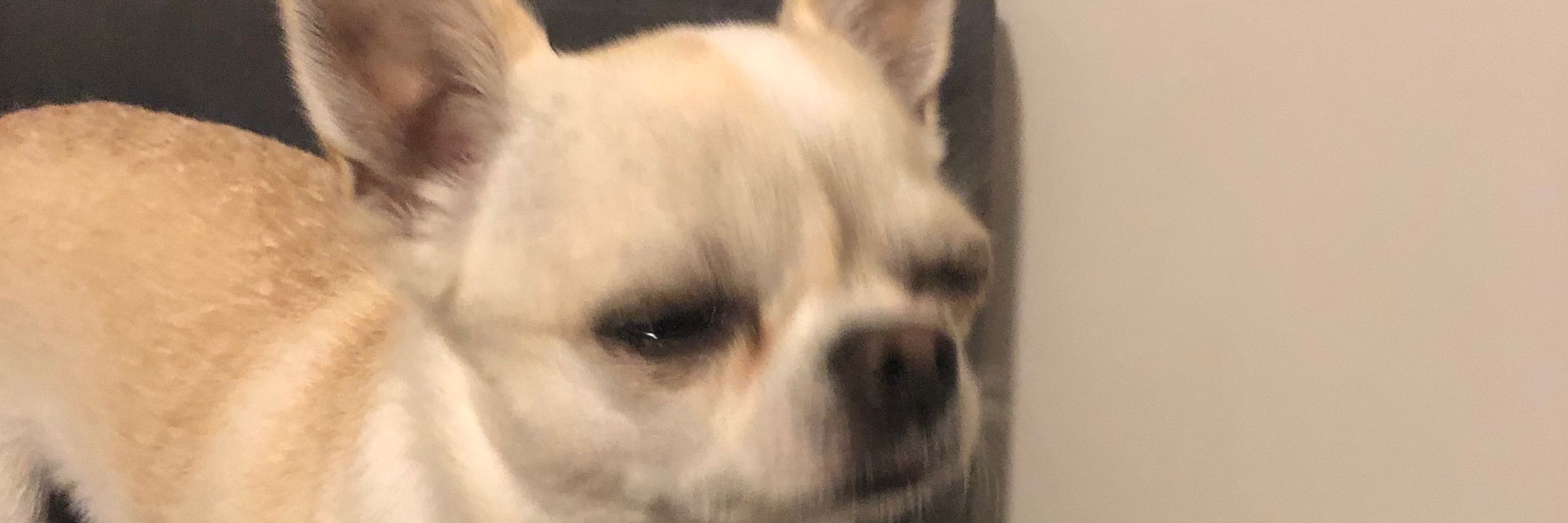 Beben - coldfusion stan account