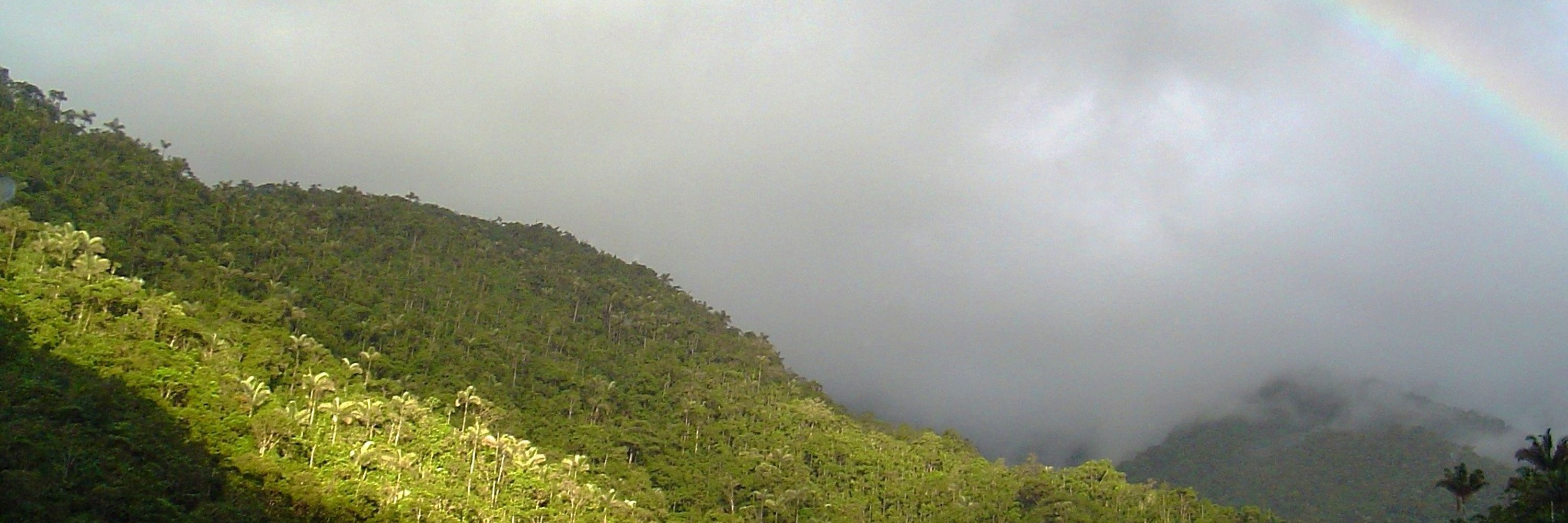 SELVA: Investigación para a Conservación en el Neotropico