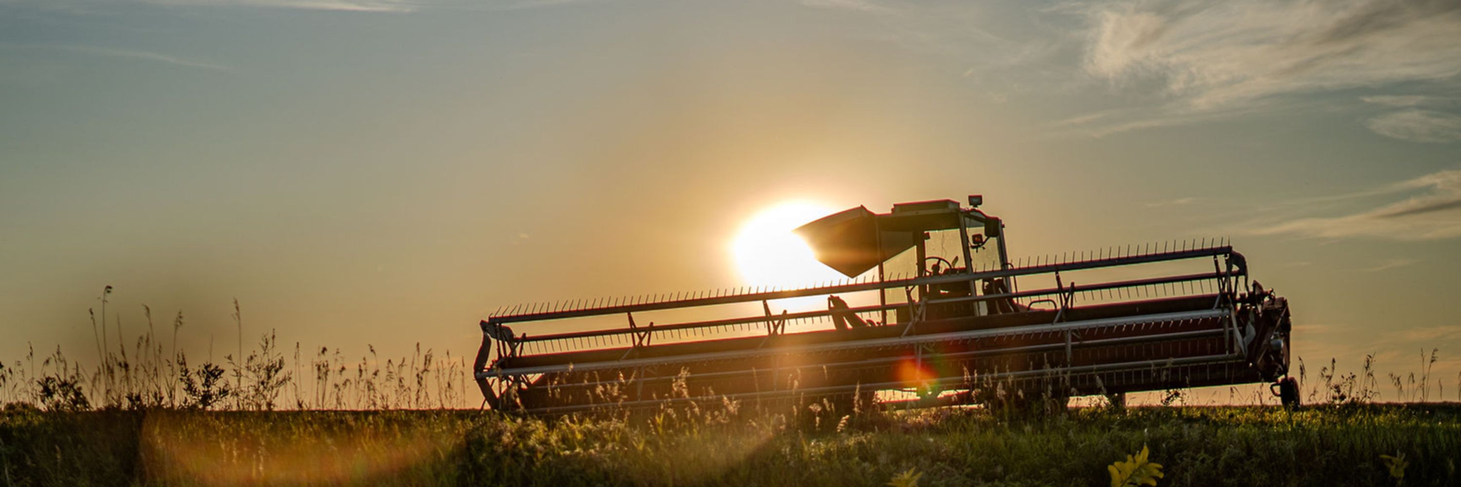 Canadian Association of Farm Advisors