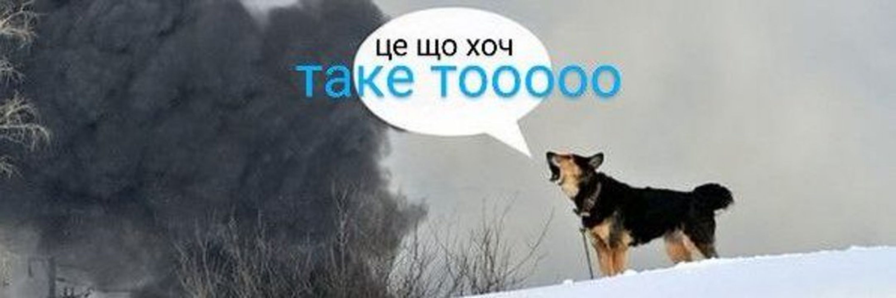 Nuts)
