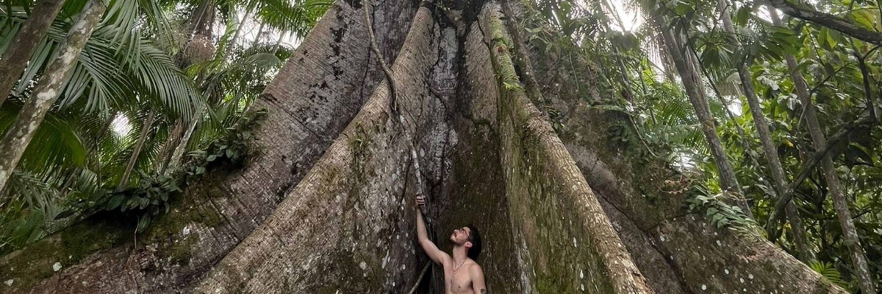 Patonildo