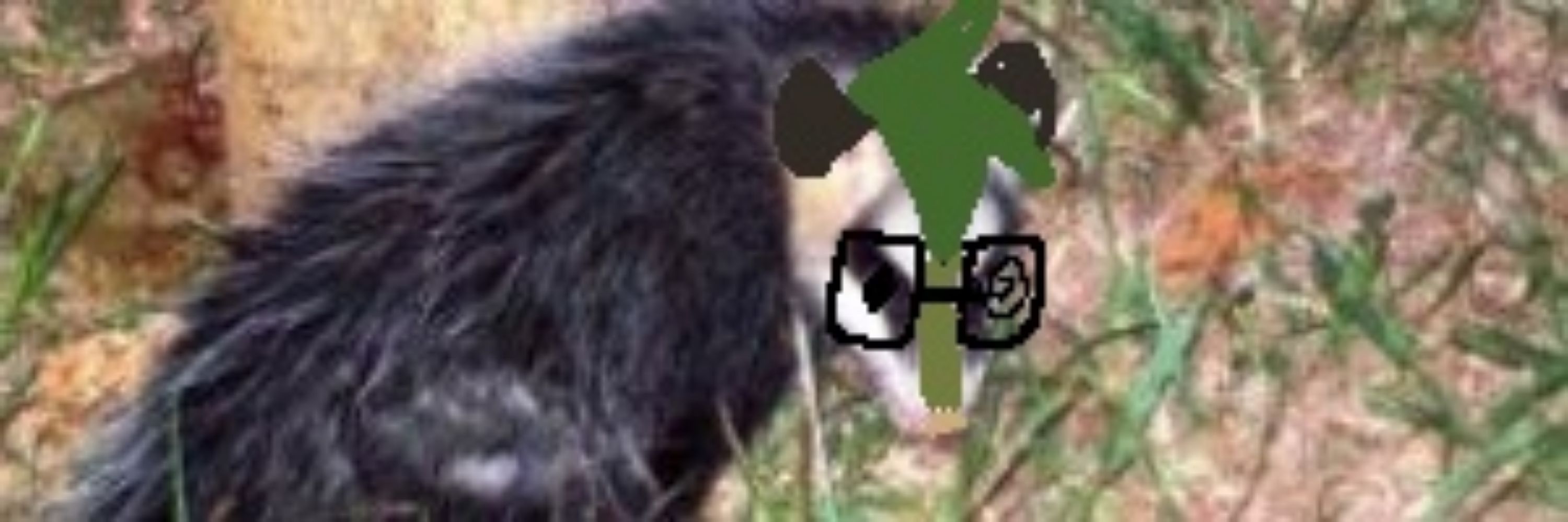 UNCLEPOSSUM!