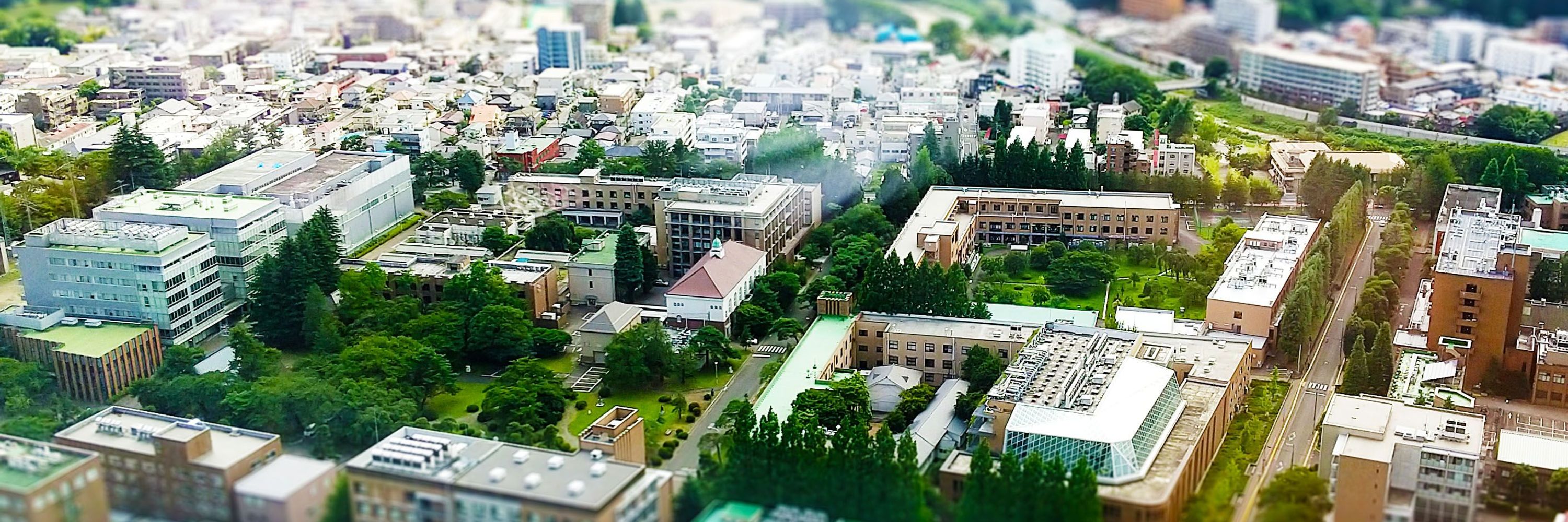 Super-network Brain Physiology - Tohoku University