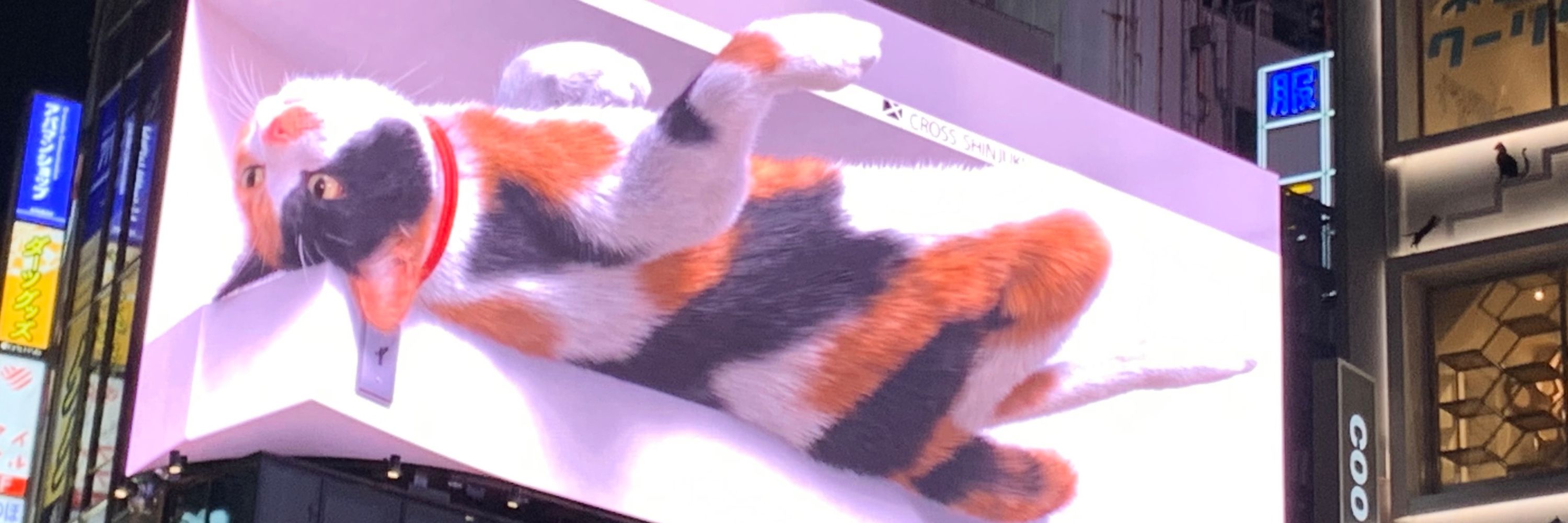 ぬこのえさ