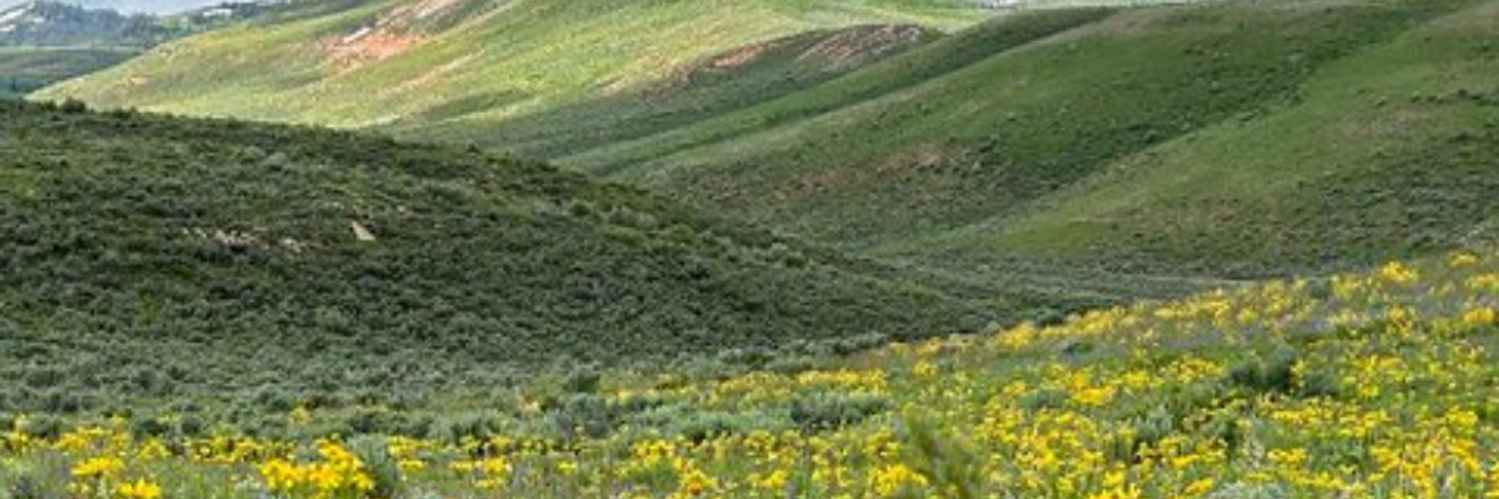 Working Lands Conservation