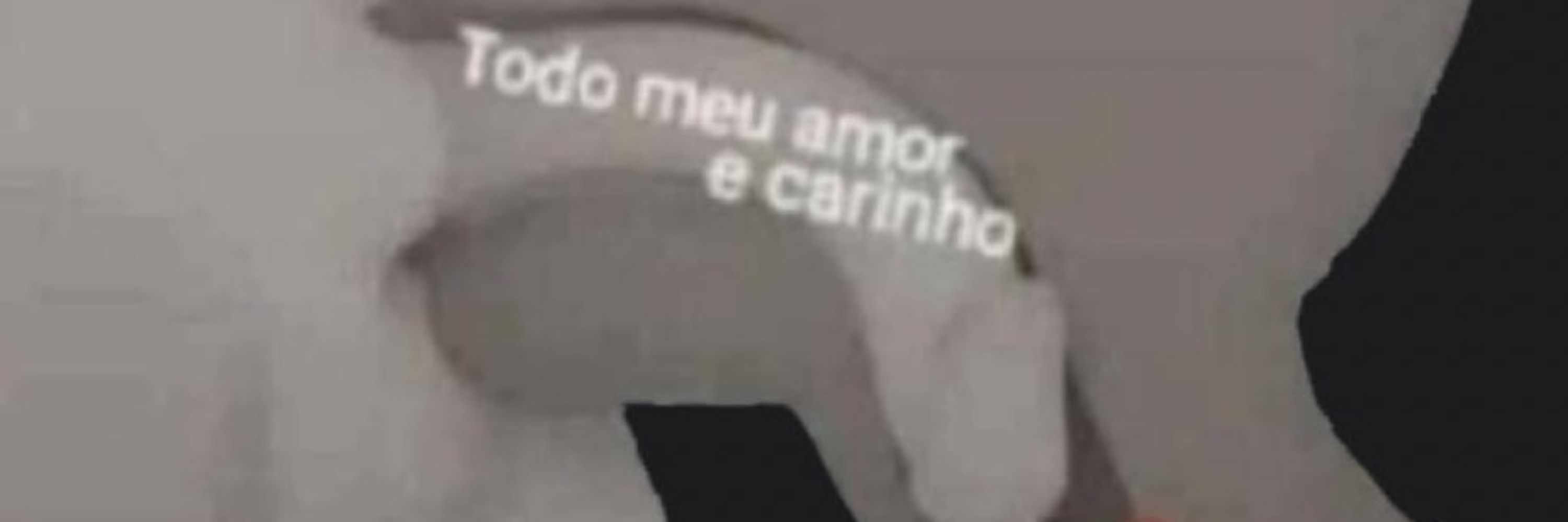 Ursinho Bi 🐻❤️‍🔥