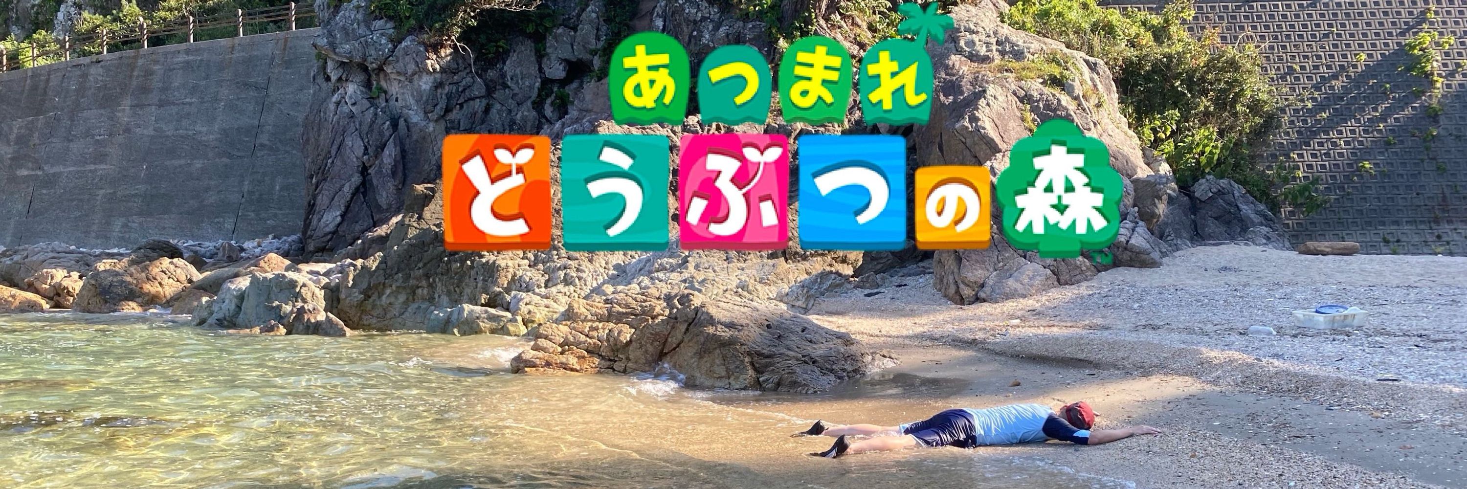 よっぴぃ