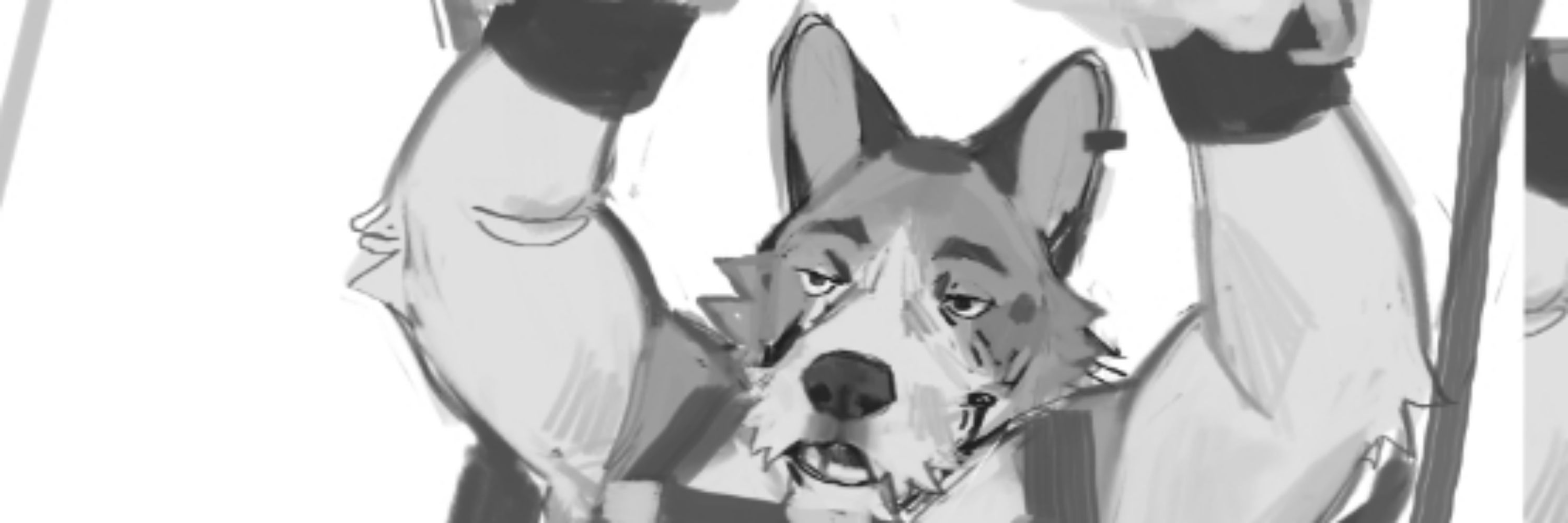 Incorgnito
