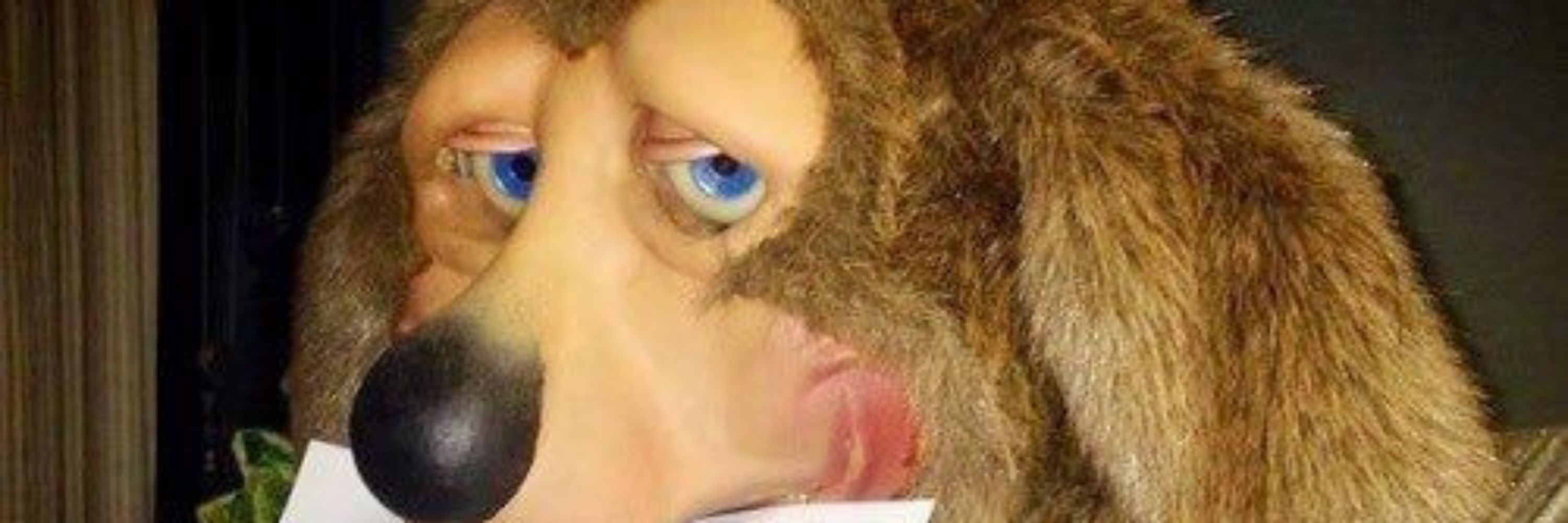 doo.k