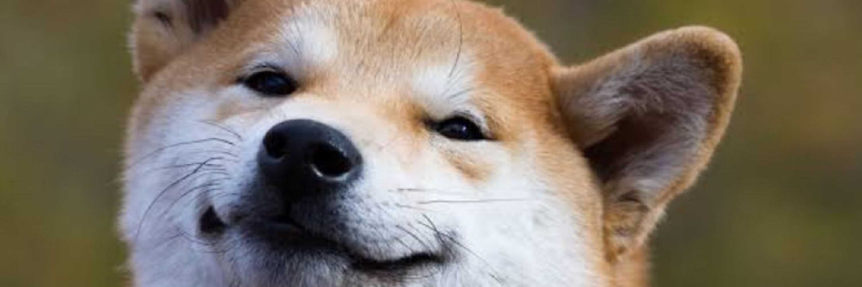 DDD（ｗおじ）
