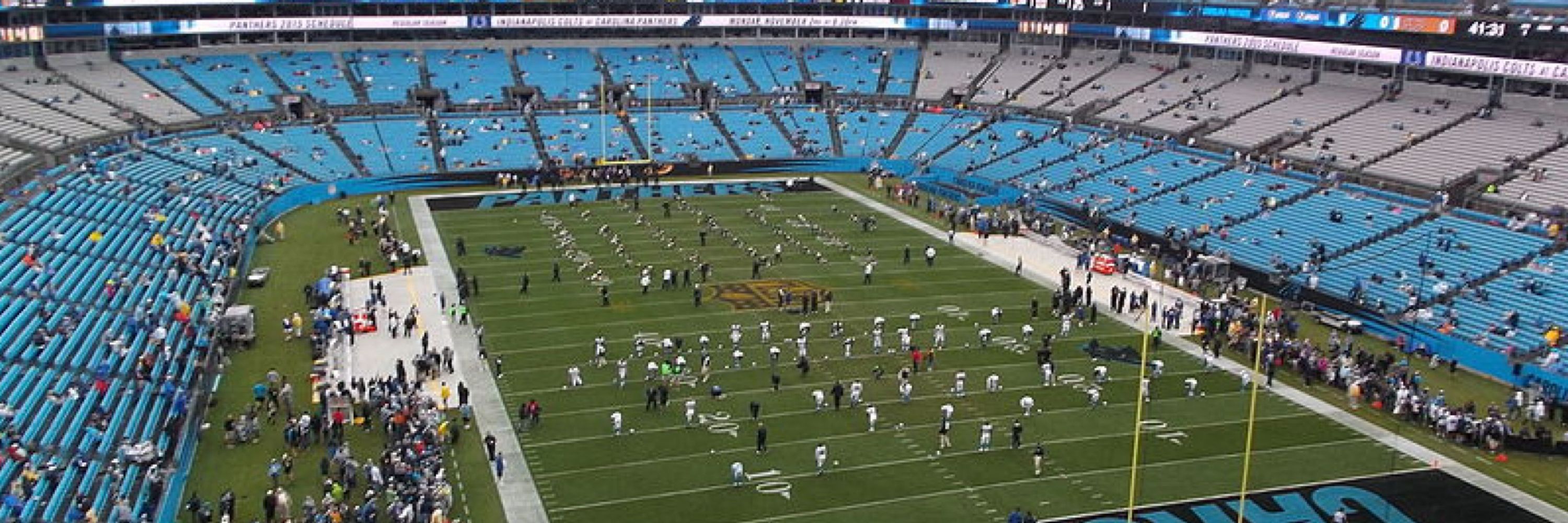 Carolina Panthers Fan