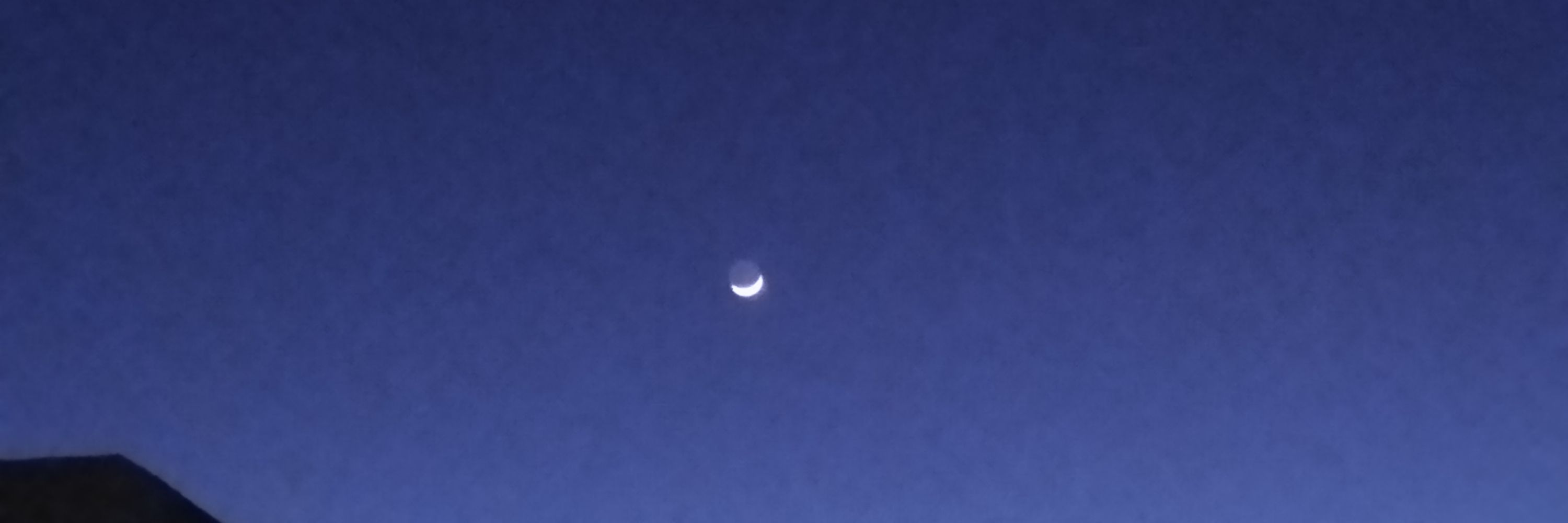 M00N 🌑