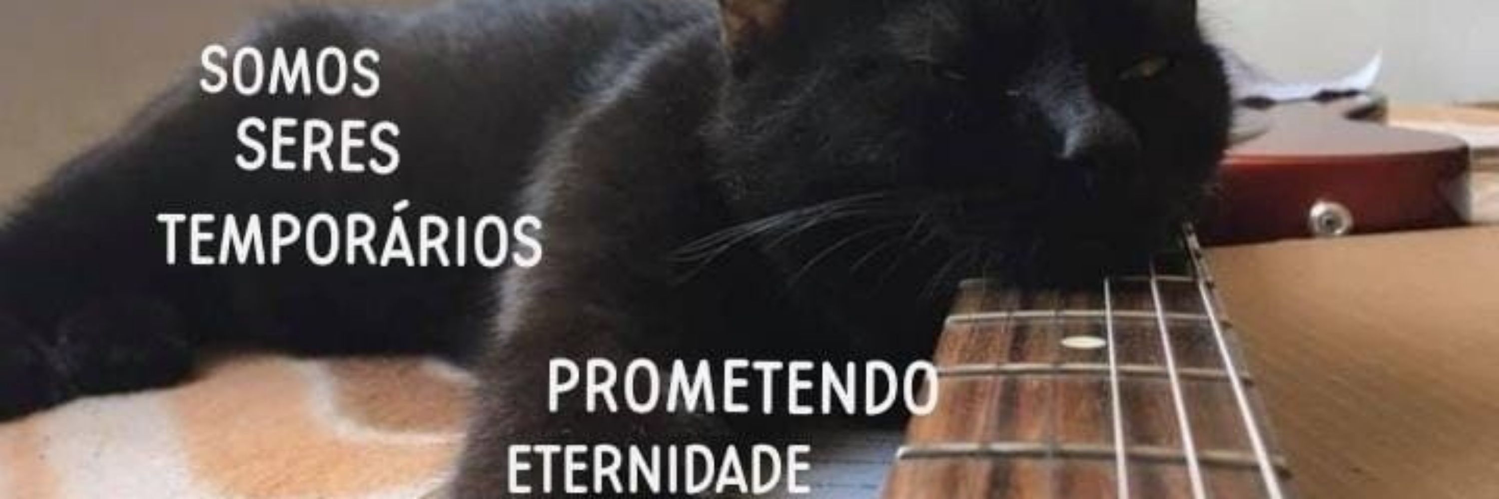 tha 🐈‍⬛