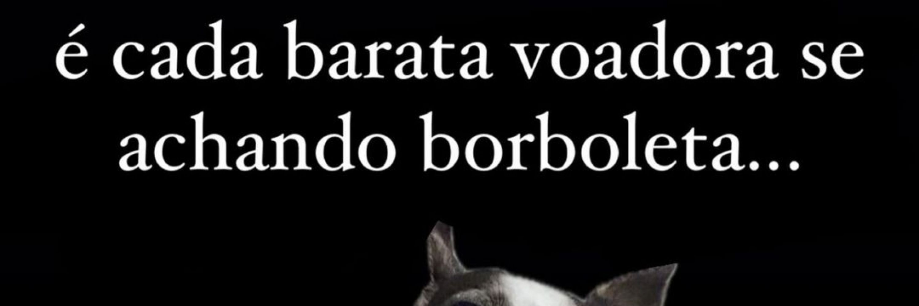 Jonathan 